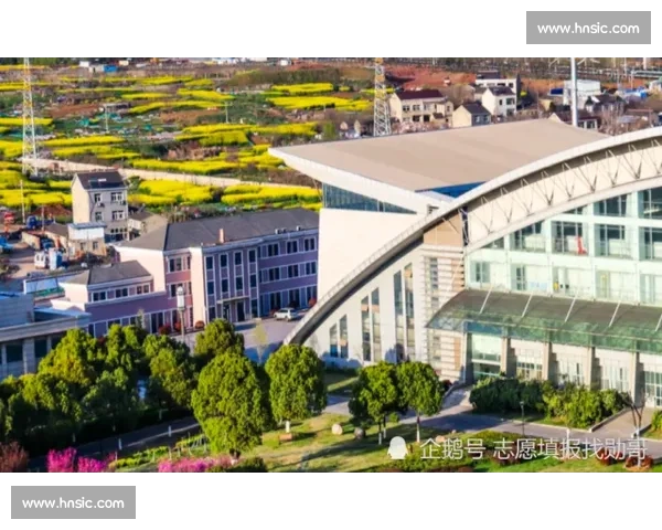 萨巴伦卡为 “你赢非因实力” 言论致歉高芙